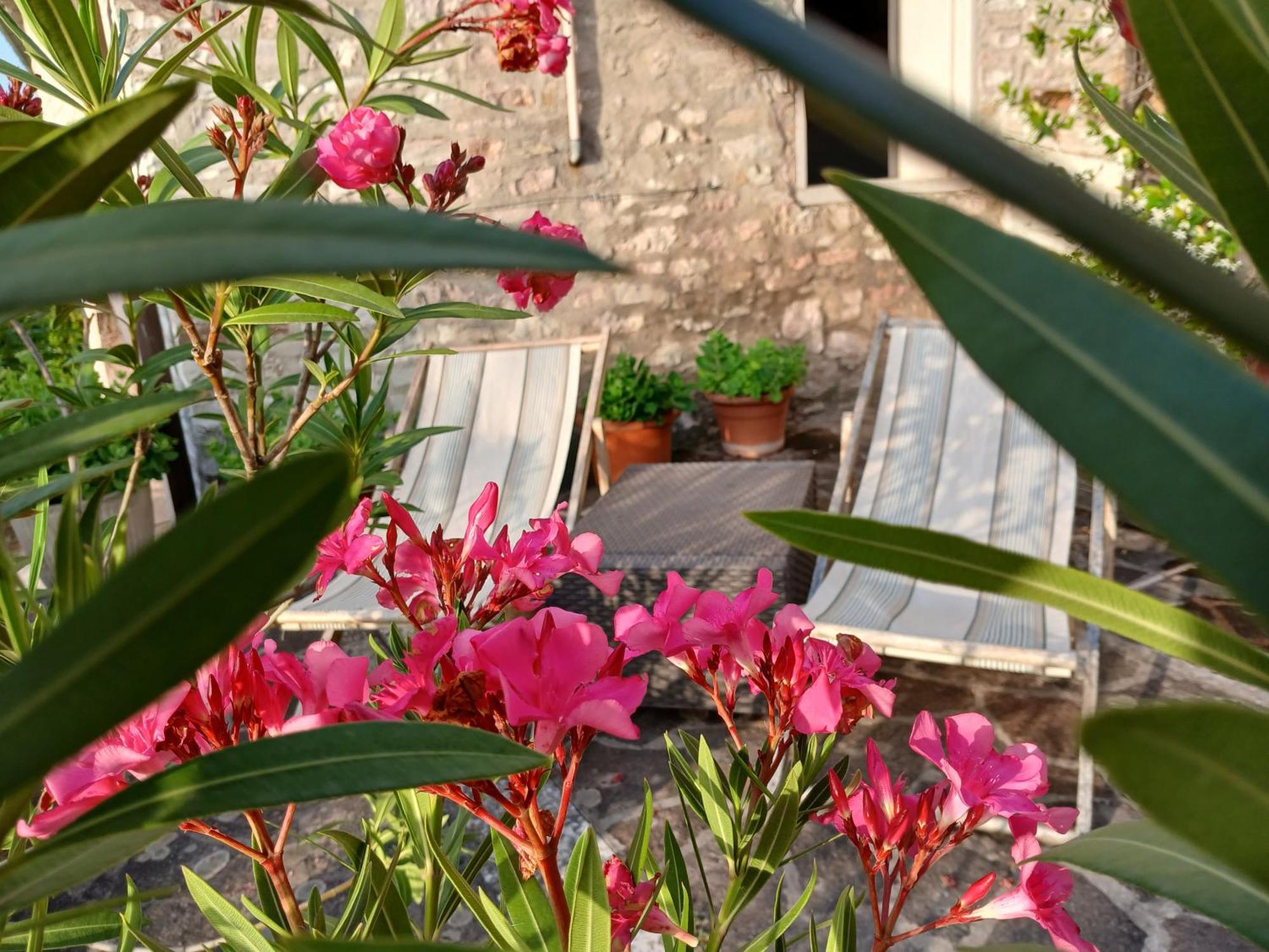 Agriturismo del Frontino-Lo Studio Acqualagna Exterior foto