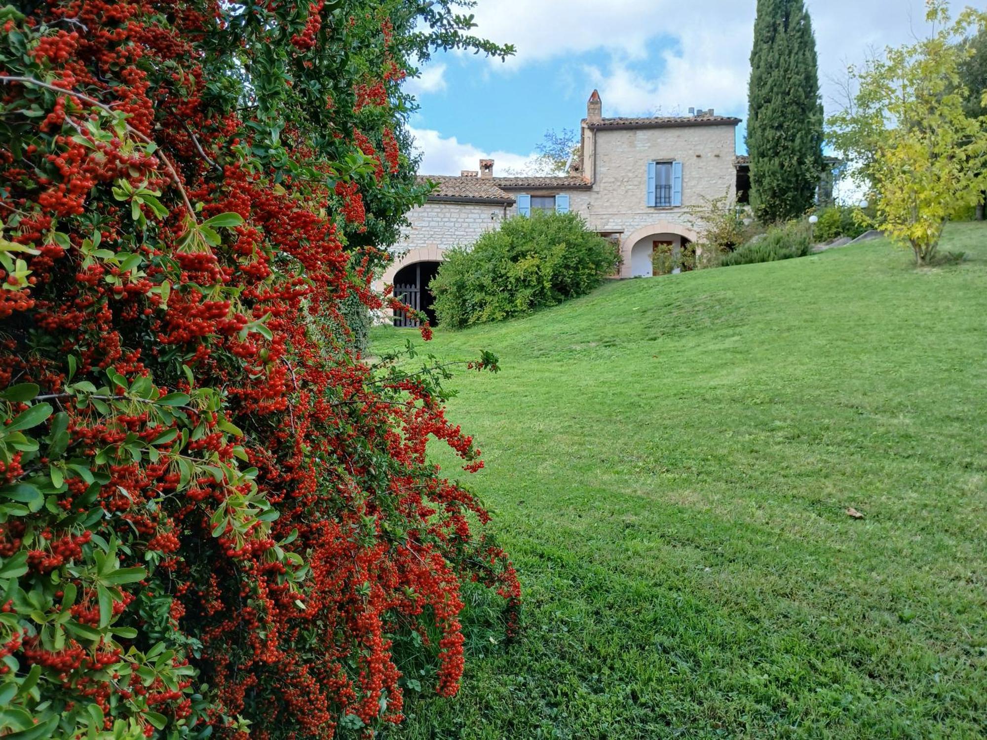 Agriturismo del Frontino-Lo Studio Acqualagna Exterior foto